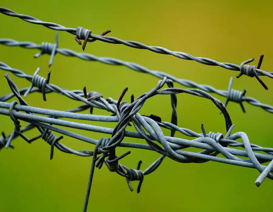 Livestock enclosure fencing