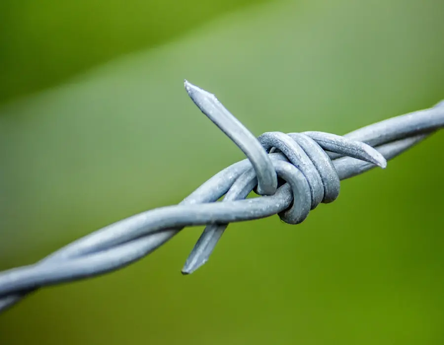Forest boundary fencing