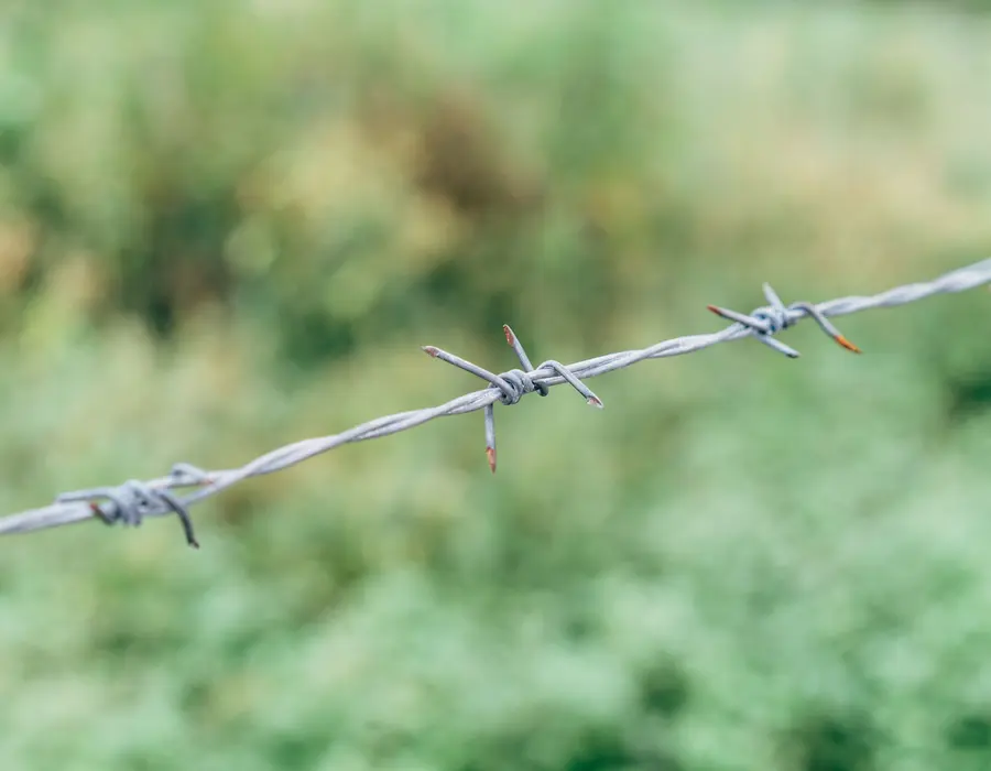 School and institutional fencing