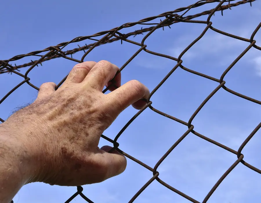 High security fencing