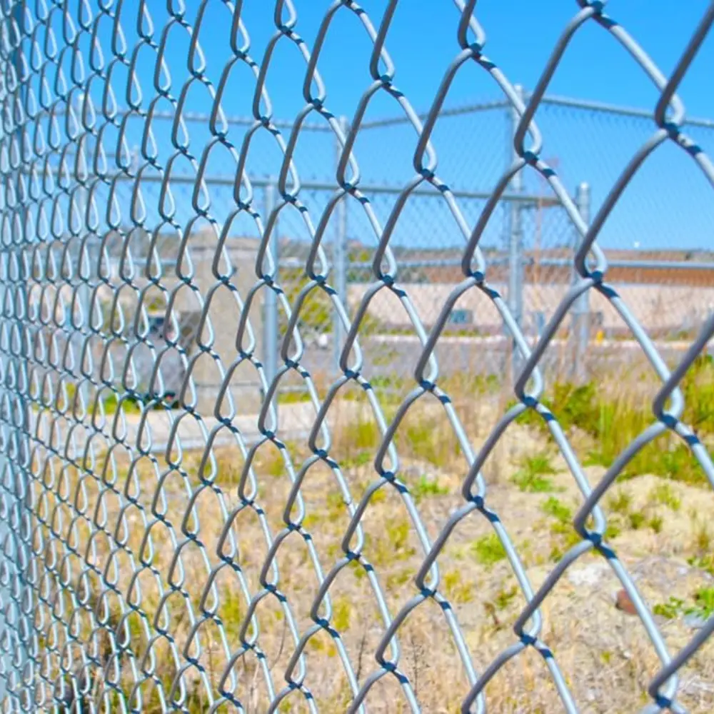 Galvanised chain-link fencing installed along a boundary